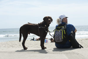 Scott Leason and Snickers