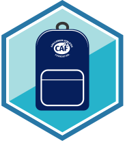 2020 Bag Incentive Badge
