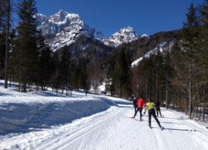 Skiing cross country behind at Slovenia World Cup