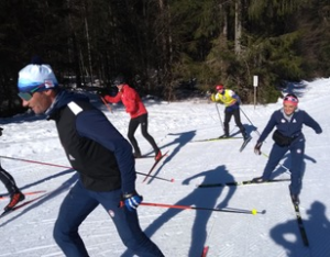 Skiing cross country close up skiing cross country close up at Slovenia World Cup