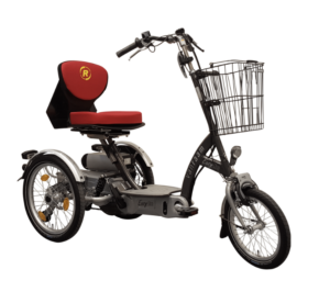 recreational trike