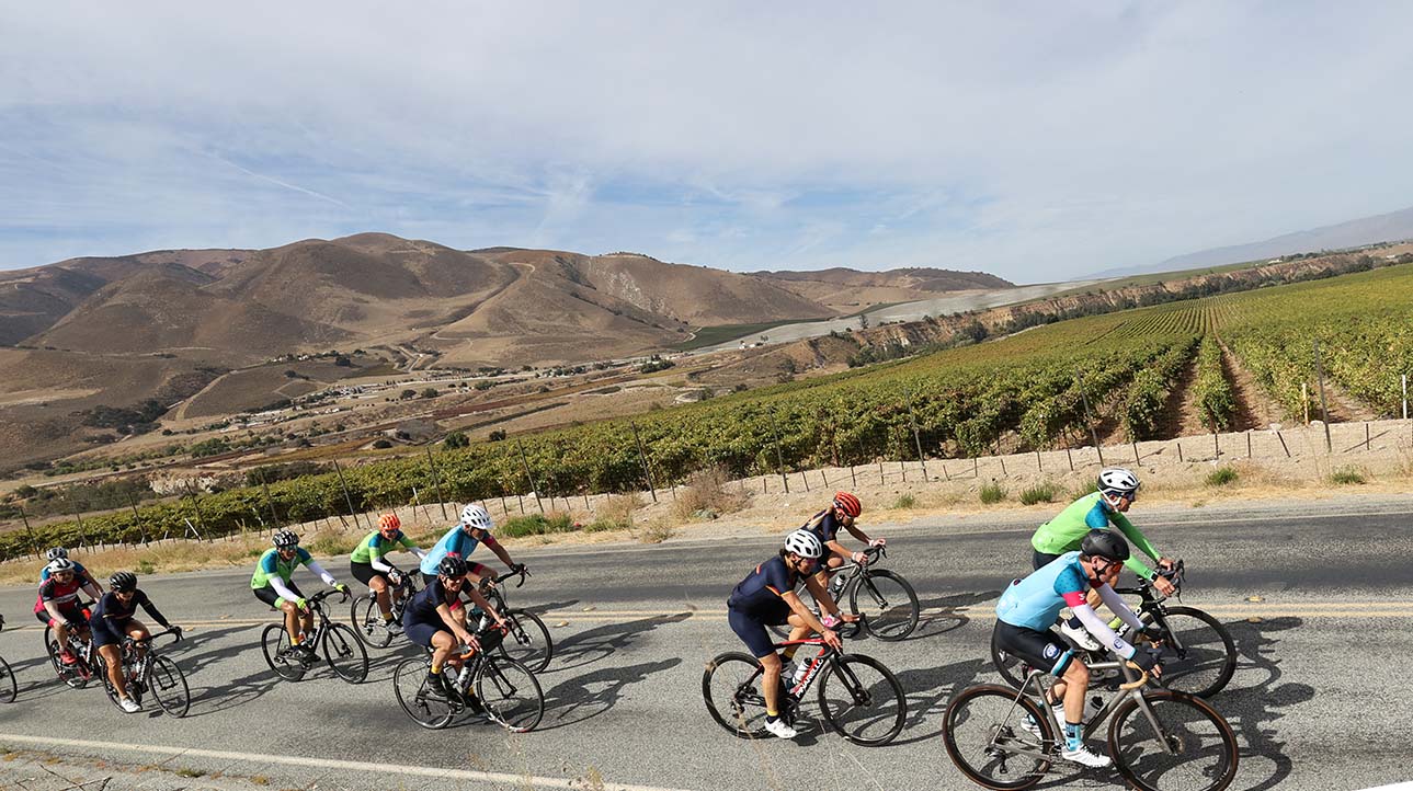 wine_country_cycling