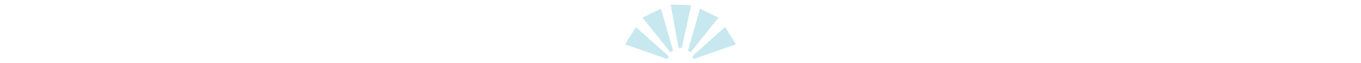 2023-CAF-Holiday-Landing-Page_Divider-1 and 4_V2 Winter Snowflakes