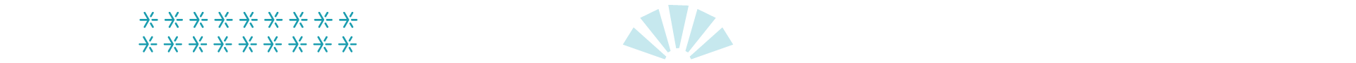 2023-CAF-Holiday-Landing-Page_Divider-3_V2 Winter Snowflakes