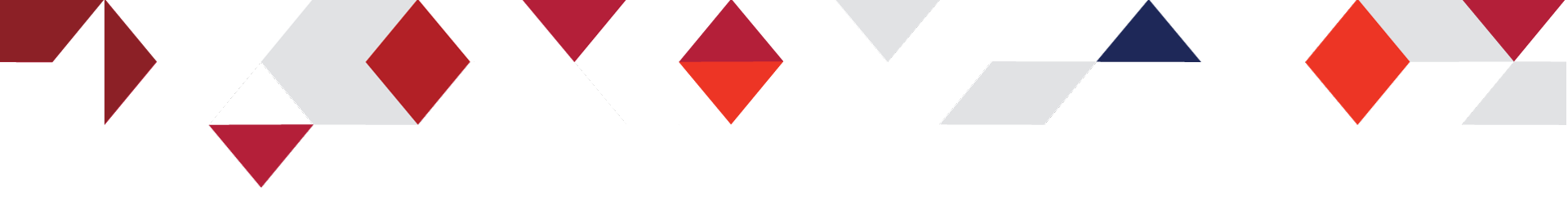 2024-CAF-Holiday-Landing-Page_Divider