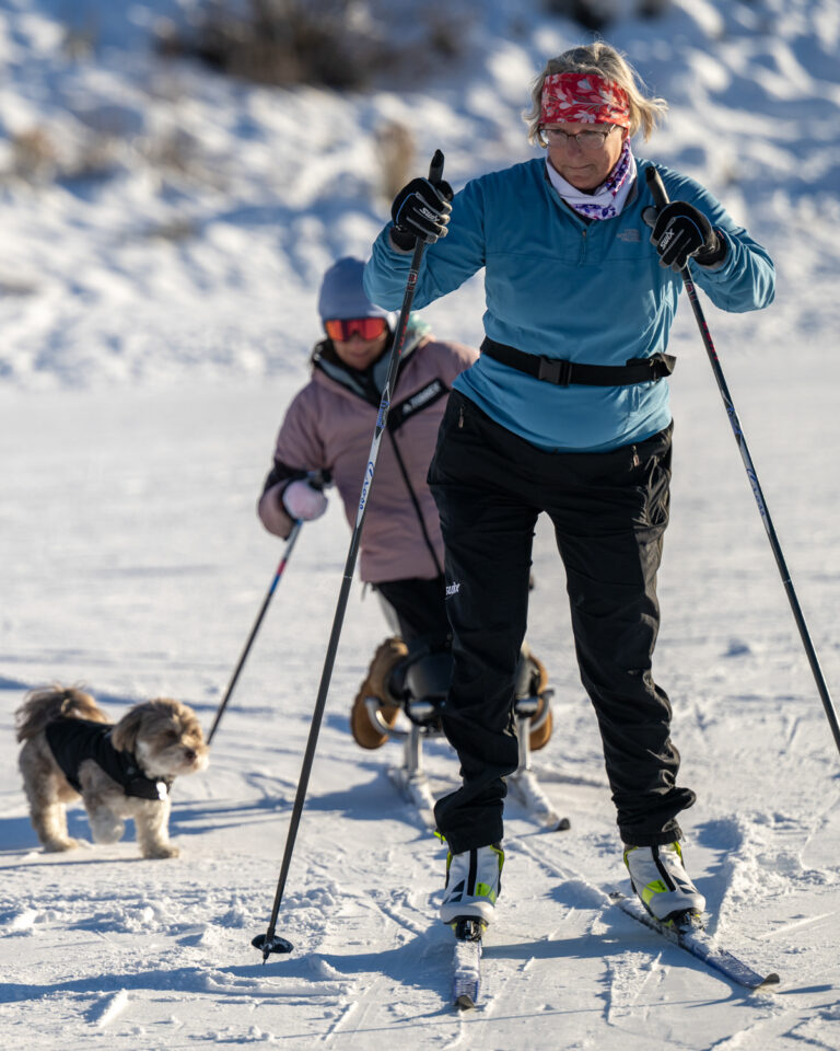 Two people cross-country skiing with a small dog on snowy terrain.