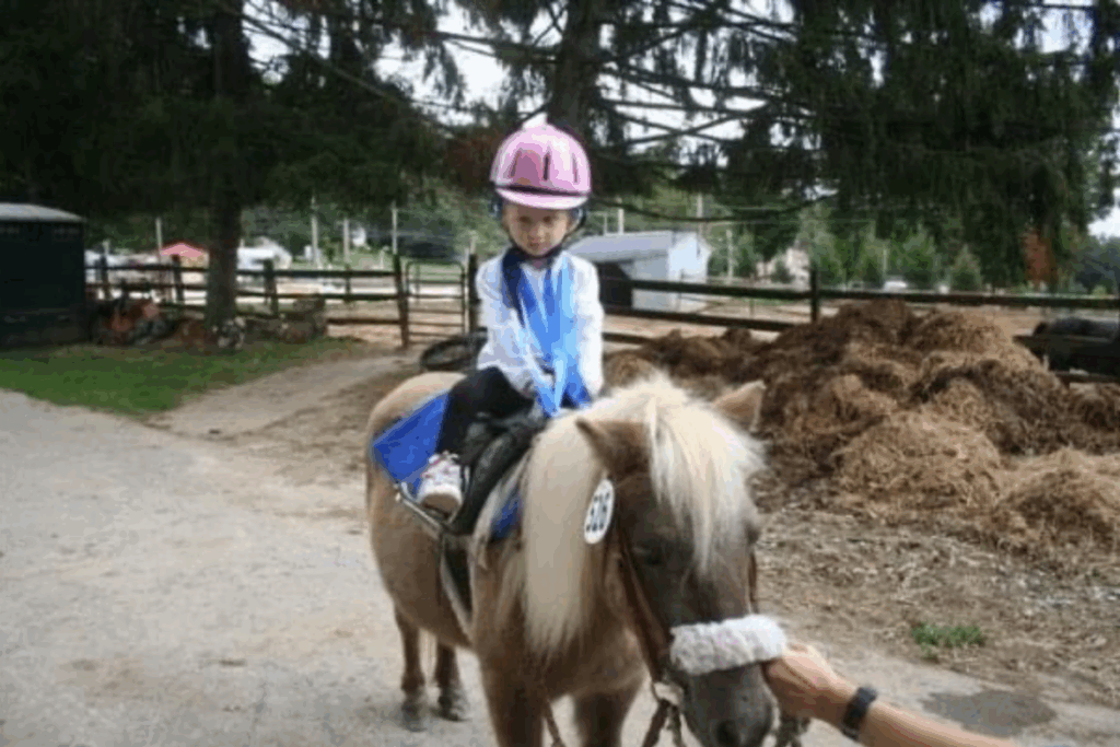 A young rider wearing a pink helmet sits on a small pony at a farm.