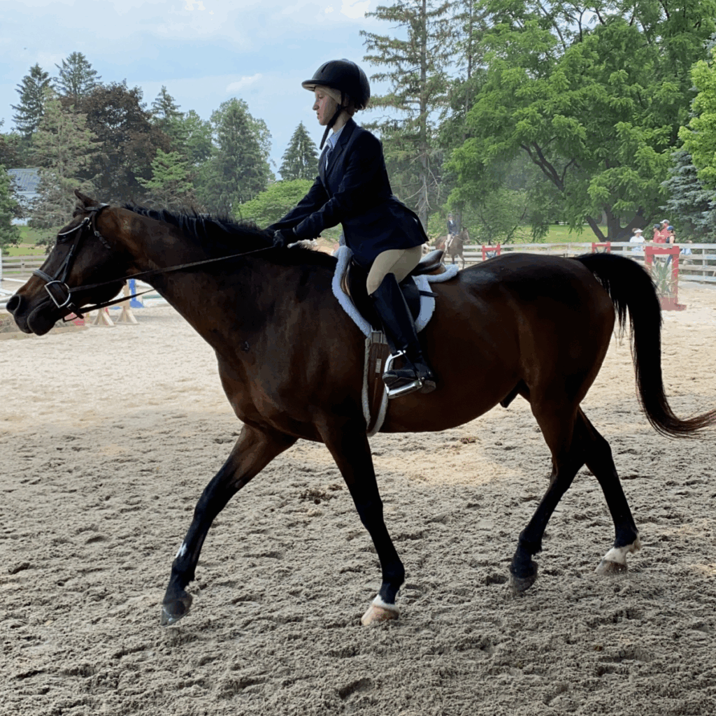 A rider in formal show attire guides a horse during a riding competition.