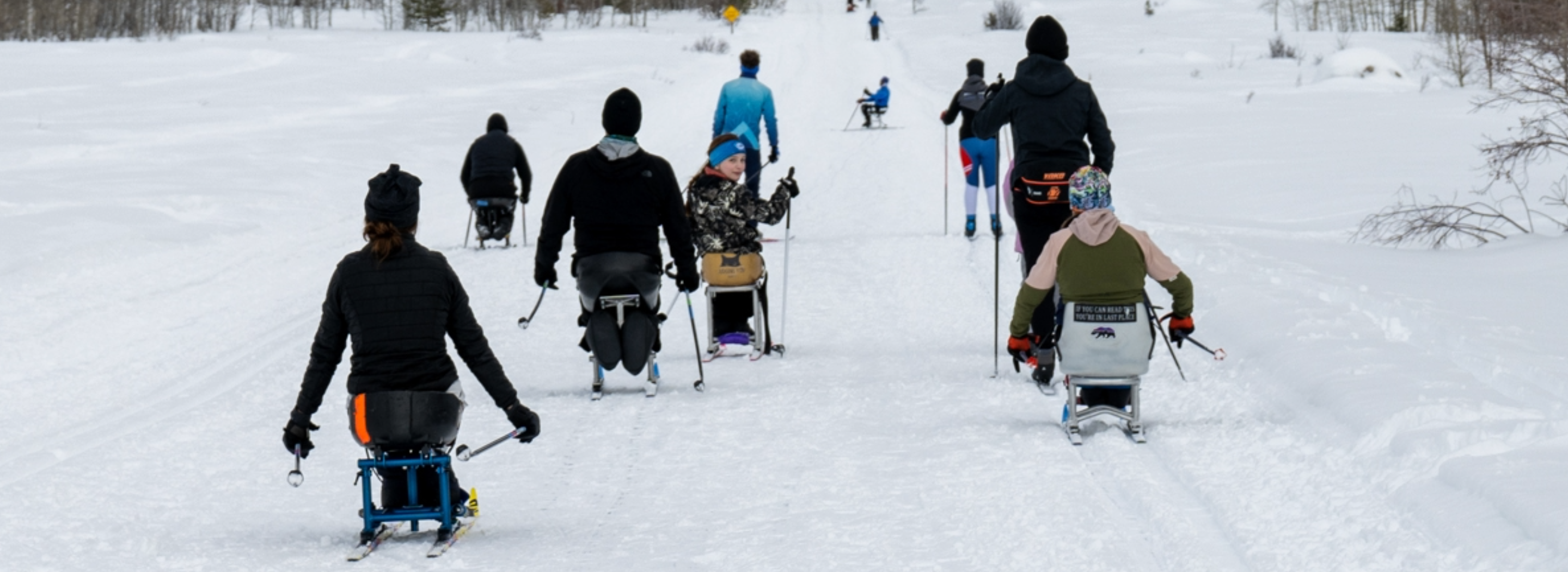 People sit-skiing on a snowy trail, surrounded by sparse trees.