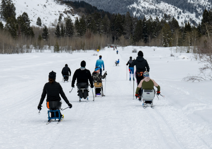 People sit-skiing on a snowy trail, surrounded by sparse trees.