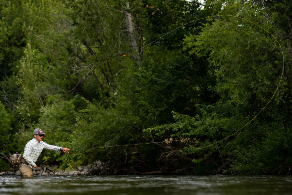 A person fly fishing in a river, surrounded by lush green trees.