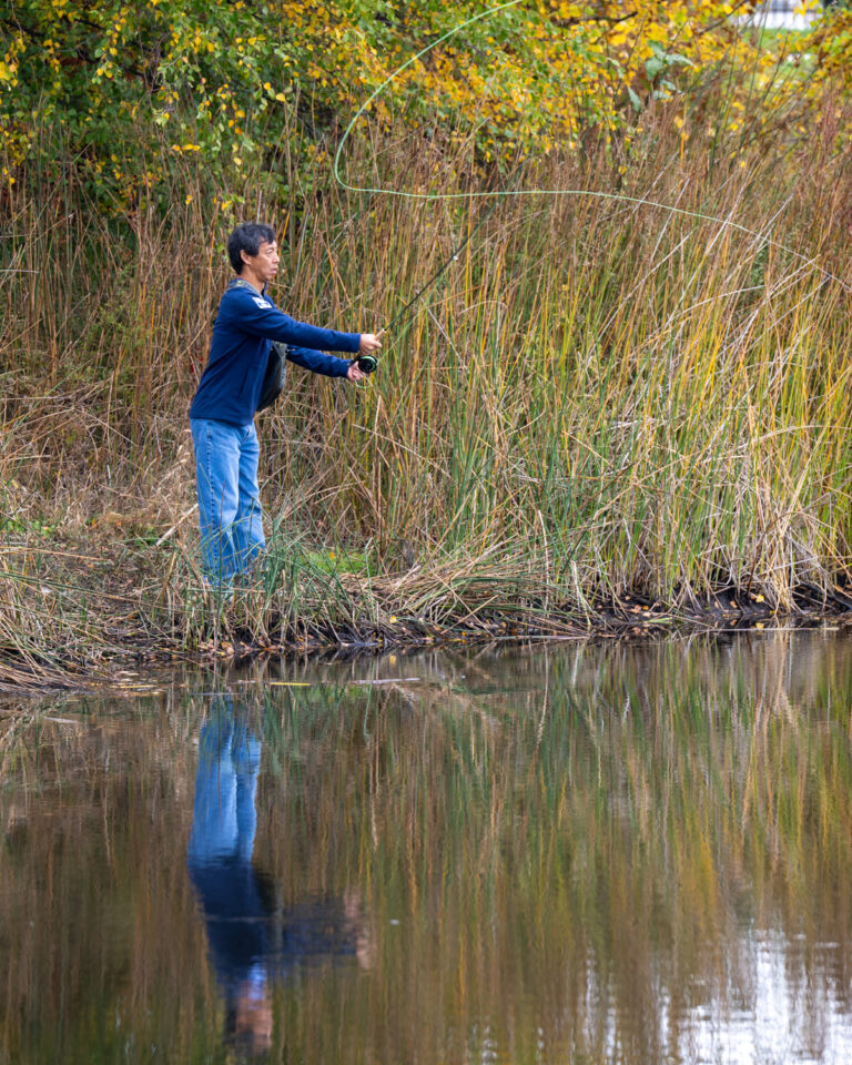 A person fly fishing by a pond, surrounded by tall grasses and autumn foliage.