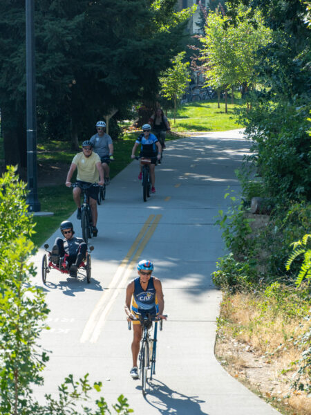 A group of cyclists on a sunny multi-use pathway, surrounded by trees and greenery.